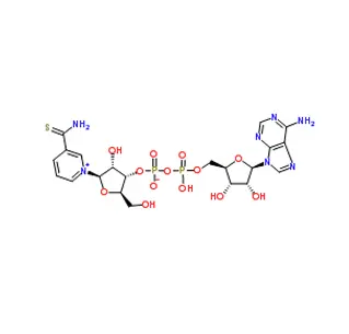 Beta-Thionicotinamide Adenine Dinucleotide (Thio-NAD) CAS 4090-29-3