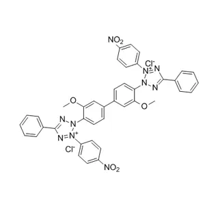 Nitrotetrazolium Blue Chloride CAS 298-83-9