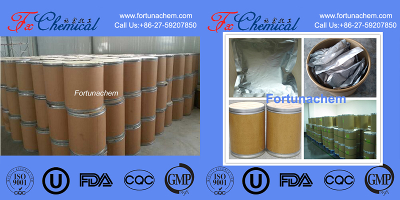 Package of our 2,4-Dichlorophenylhydrazine Hydrochloride CAS 5446-18-4