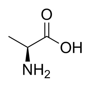 L-Alanine CAS 56-41-7