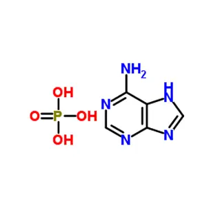 Adenine Phosphate CAS 70700-30-0