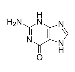 Guanine CAS 73-40-5