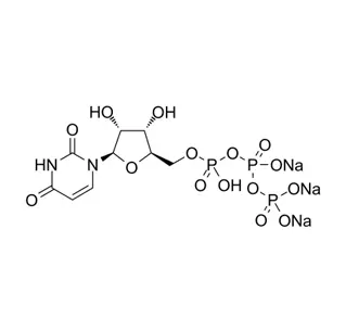 Uridine-5-triphosphoricAcid Trisodium Salt CAS 19817-92-6
