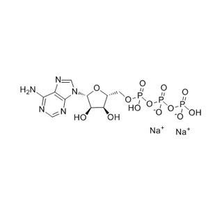 Adenosine 5'-triphosphate Disodium salt CAS 987-65-5