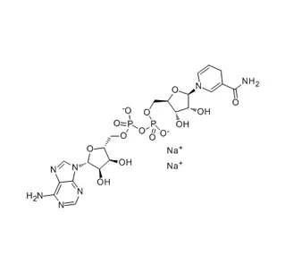 Beta-Nicotinamide Adenine Dinucleotide Disodium Salt Reduced Form (NADH) CAS 606-68-8