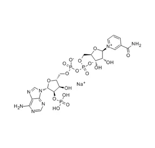 Beta-Nicotinamide Adenine Dinucleotide Phosphate Monosodium Salt (NADP-Na) CAS 1184-16-3