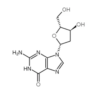 2'-Deoxyguanosine Monohydrate CAS 312693-72-4