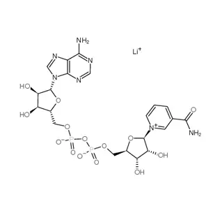 Beta-Nicotinamide Adenine Dinucleotide Lithium Salt(NAD Li) CAS 64417-72-7