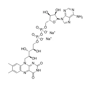 Flavin Adenine Dinucleotide Disodium Salt (FAD-2Na) CAS 84366-81-4