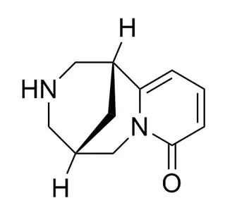 Cytisine CAS 485-35-8