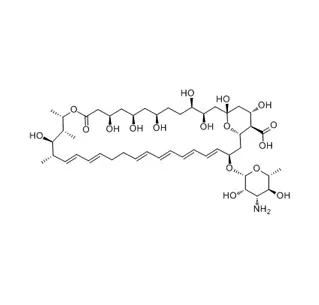 Nystatin CAS 1400-61-9