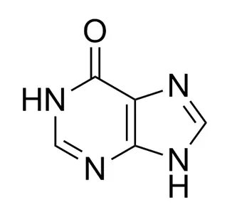 6-Hydroxypurine CAS 68-94-0