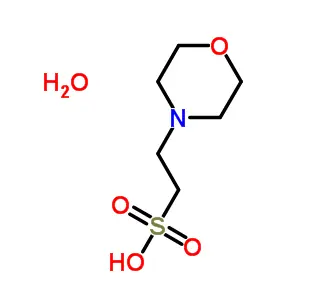 MES Monohydrate CAS 145224-94-8