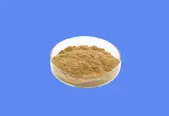 Yeast Extract CAS 8013-01-2