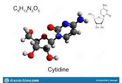 Nucleosides Raw Material Supplier