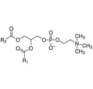 Fenbendazole CAS 43210-67-9