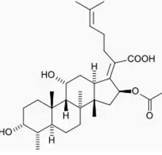 Ambroxol Hydrochloride CAS 23828-92-4