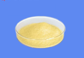 Folic Acid CAS 59-30-3