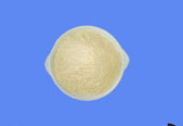 Levofloxacin Hydrochloride CAS 100986-85-4