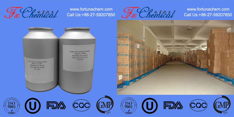 Package of Gentamicin Sulfate CAS 1405-41-0