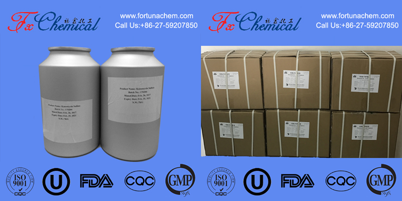 Package of our Amikacin Sulfate CAS 39831-55-5