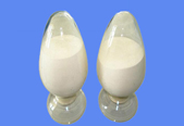 Biphenyl-4,4'-dicarboxylic Acid CAS 787-70-2