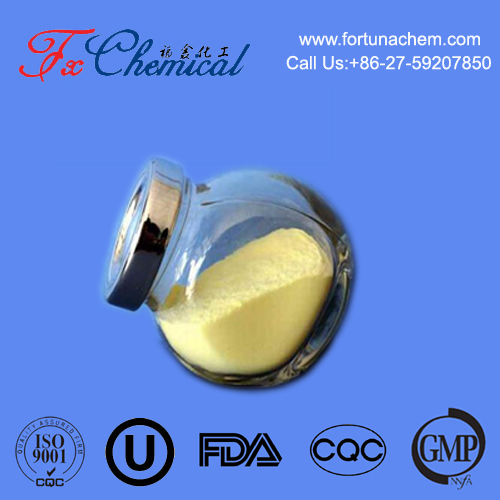Pharmaceutical Excipients Suppliers
