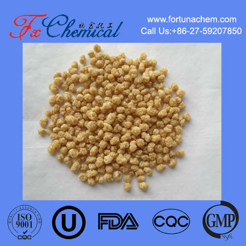 Textured Soy Protein TVP