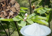 Magnolia Bark Extract Honokiol CAS 35354-74-6