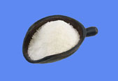 Prednisone CAS 53-03-2