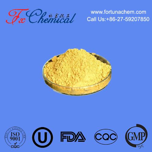 Pharmaceutical Excipients Suppliers