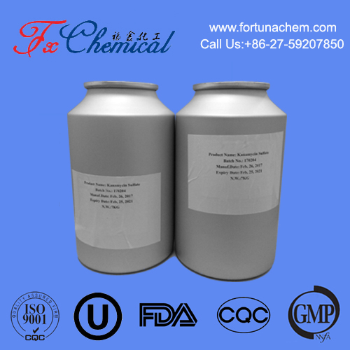 Sulbactam sodium CAS 69388-84-7 for sale