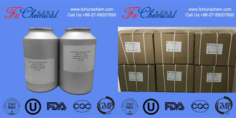 Packing of Sulbactam sodium CAS 69388-84-7