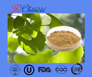 Ginkgo Biloba Extract CAS 90045-36-6