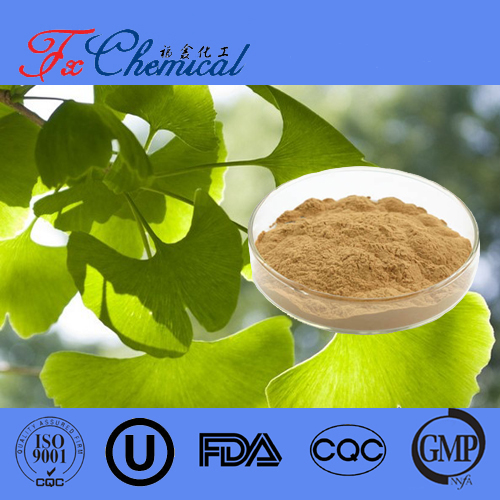 Ginkgo Biloba Extract CAS 90045-36-6 for sale