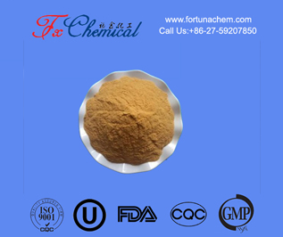 Ginseng Root Extract Powder CAS 72480-62-7