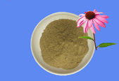 Chicoric Acid CAS 70831-56-0