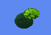 Spirulina Powder CAS 724424-92-4