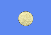 Felodipine CAS 72509-76-3