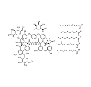 Teicoplanin CAS 61036-62-2