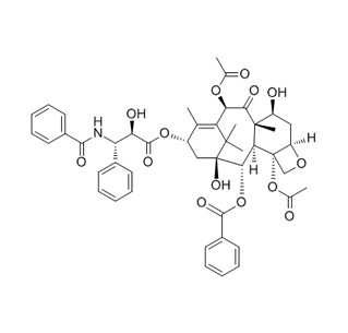 Paclitaxel CAS 33069-62-4