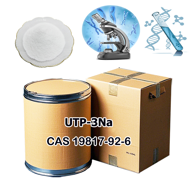 Uridine-5-triphosphoricAcid Trisodium Salt CAS 19817-92-6 for sale
