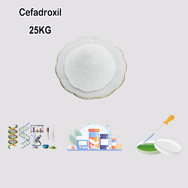 China Manufacturer Cefadroxil CAS 66592-87-8 with best quality