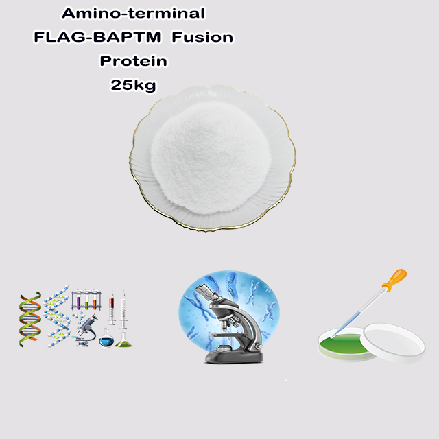 China Suppliers Deoxyribonucleic Acid SodiuM Salt (SalMon Milt) CAS 9007-49-2 for sale