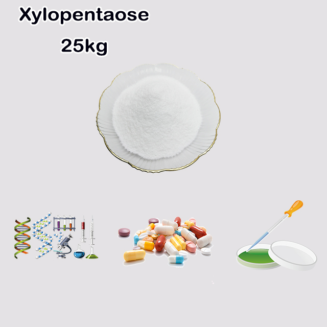 China Suppliers Xylopentaose CAS 49694-20-4 with best quality for sale