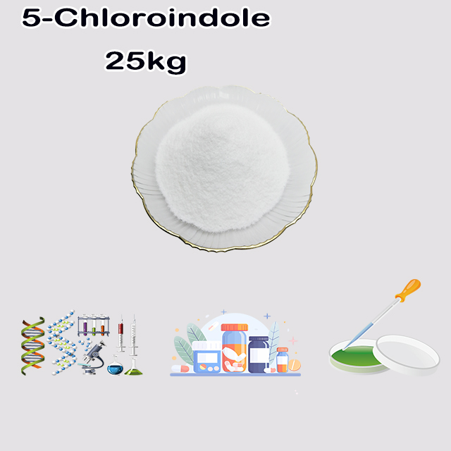 China Suppliers high quality 5-Chloroindole CAS 17422-32-1
