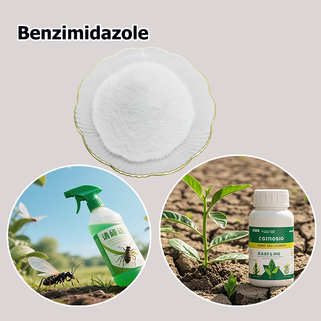 Benzimidazole CAS 51-17-2 for sale