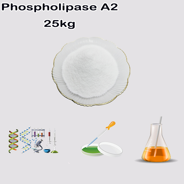 China Manufacturer Phospholipase A2 CAS 9001-84-7 top quality for sale