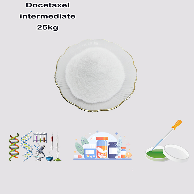 China Suppliers Docetaxel intermediate CAS 114915-14-9