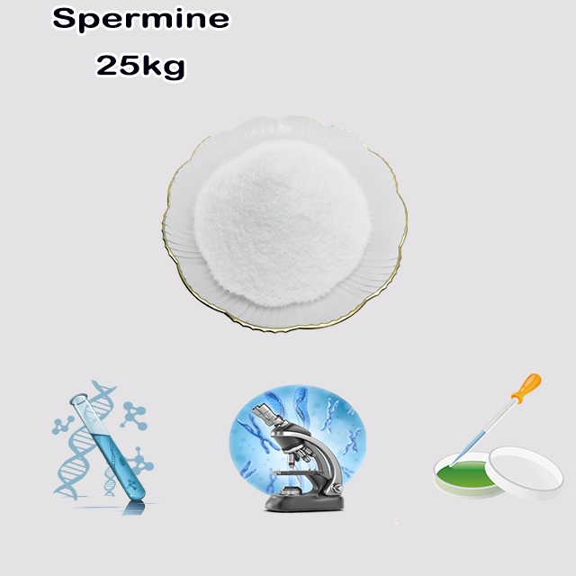 China manufacturer best purity Spermine CAS 71-44-3 for sale